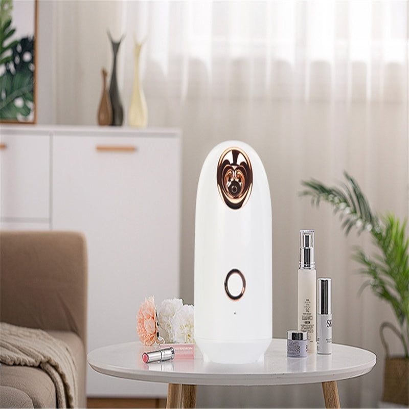Nighttime Beauty Steamer
