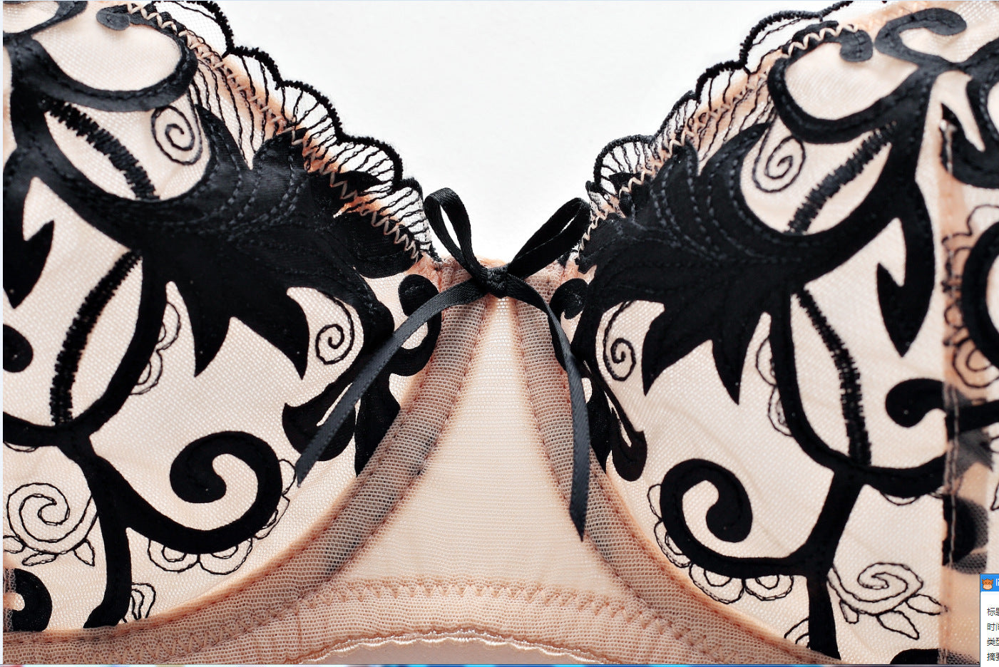 Women's Embroidered Bra and Panties