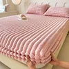 Thickened Polyester Fleece Eco-friendly 200TC Modern Bed Sheet Warm Non-Slip